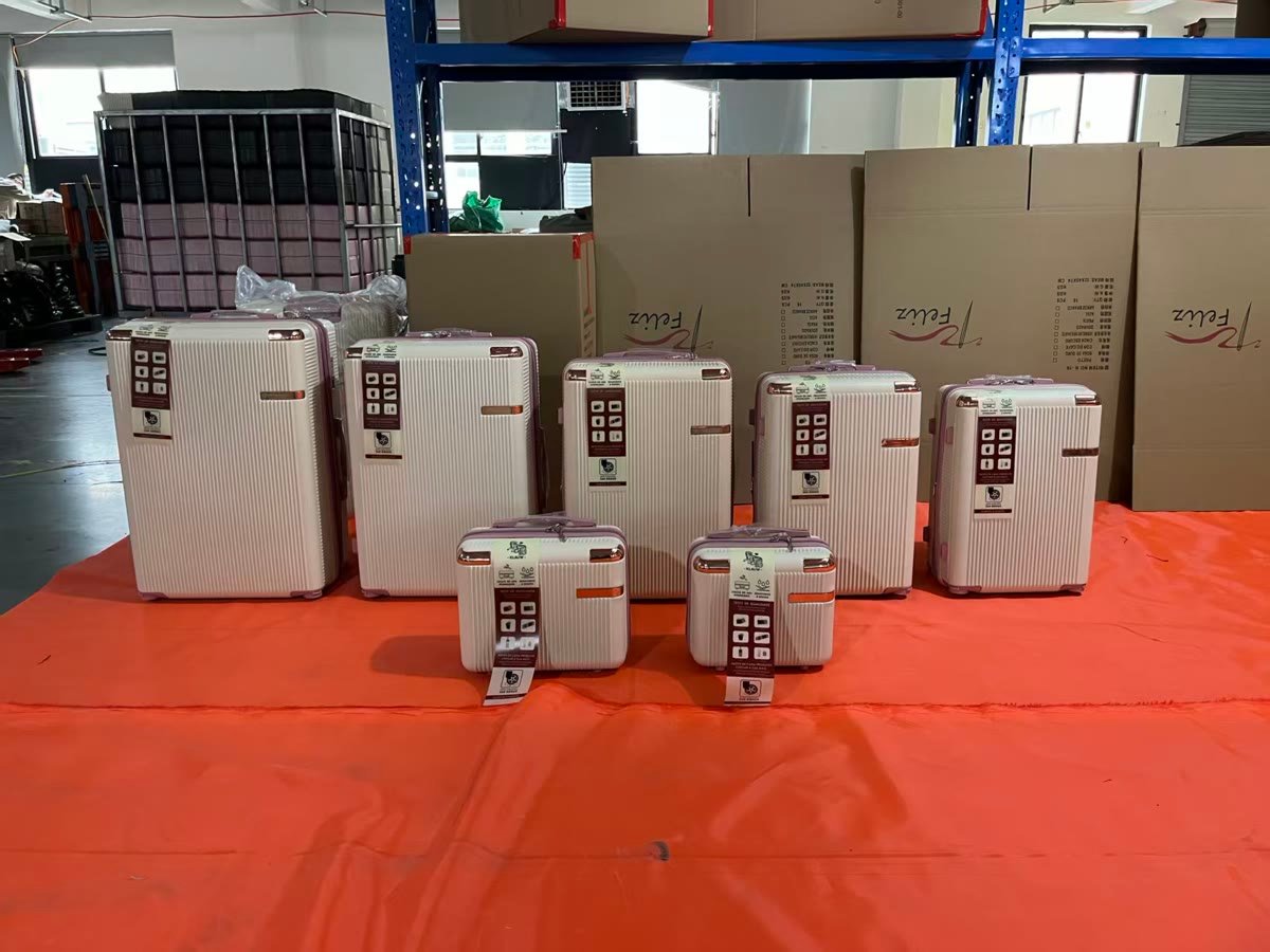 Multi-size luggage series